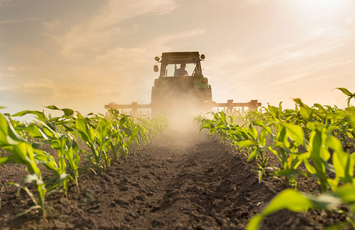 Agricoltura a residuo zero: sfide e soluzioni