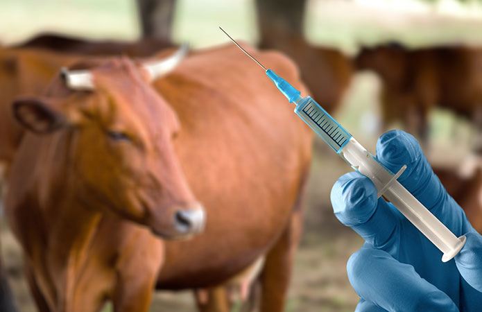 Alimenti Antibiotic Free. Focus on: uova, carni, latte e derivati