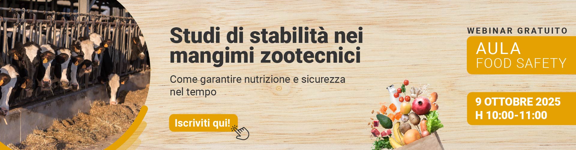 Immagine di mucche all'interno di un allevamento, simbolo del webinar Food di Lifeanalytics sugli studi di stabilità nei mangimi zootecnici
