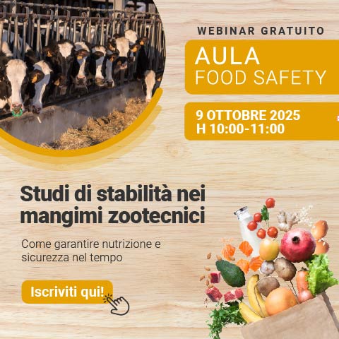 Immagine di mucche all'interno di un allevamento, simbolo del webinar Food di Lifeanalytics sugli studi di stabilità nei mangimi zootecnici
