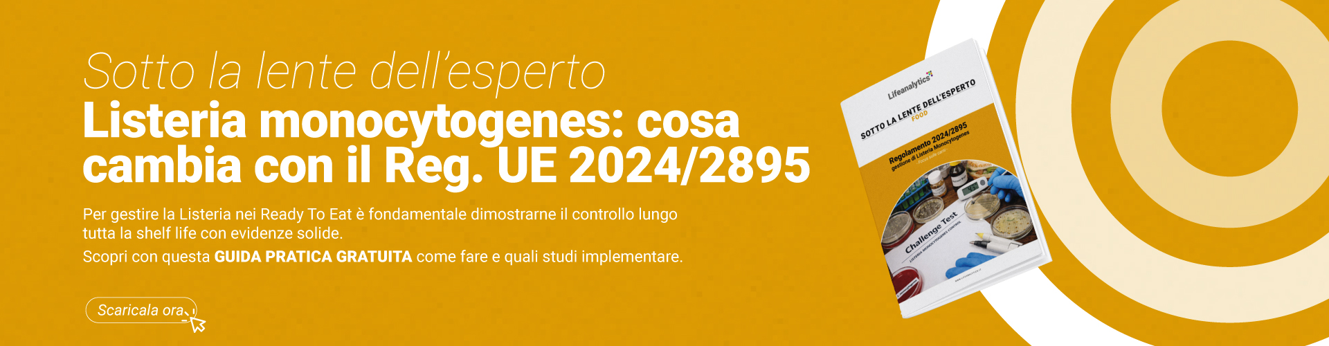 Immagine di una scrivania in primo piano con provette necessarie per eseguire test sulla listeria monocytogenes, simbolo della copertina della pubblicazione della business unit Food di Lifeanalytics sul Regolamento 2024/2895 focus sulle carni