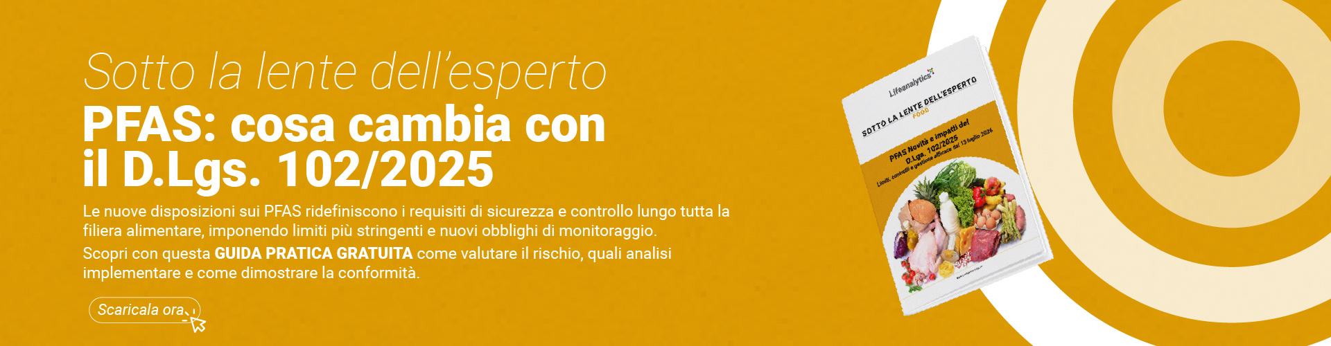 Immagine di alimenti su sfondo bianco, simbolo della copertina della pubblicazione della business unit Food di Lifeanalytics sul PFAS e cosa cambia con il D.Lgs 102/2025 e controlli lungo la filiera alimentare