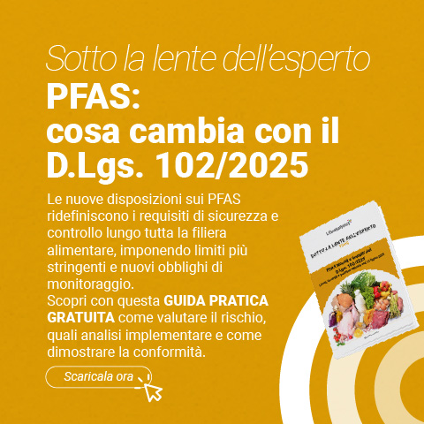 Immagine di alimenti su sfondo bianco, simbolo della copertina della pubblicazione della business unit Food di Lifeanalytics sul PFAS e cosa cambia con il D.Lgs 102/2025 e controlli lungo la filiera alimentare
