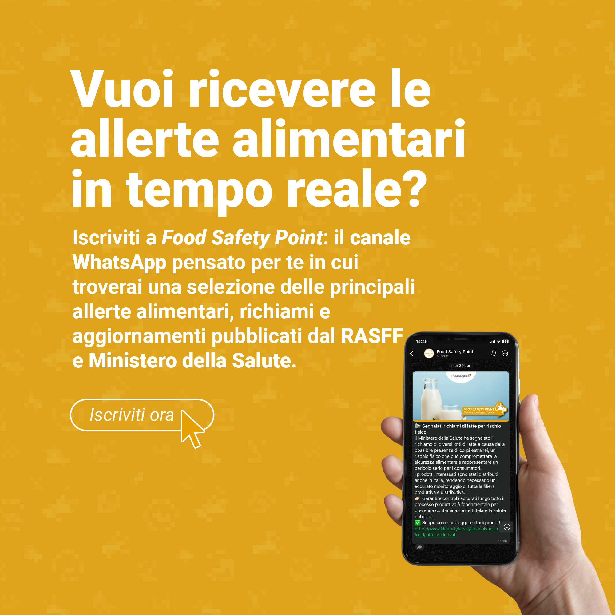 Immagine di una mano che tiene uno smartphone in posizione verticale che mostra una delle allerte food  simbolo del canale whats app Food Safety Point della business unit Food di Lifeanalytics che ti permette di rimanere aggiornato con tutte le allerte alimentari e richiami pubblicati dal RASFF e Ministero della Salute