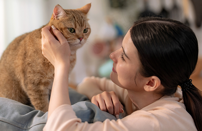 Pet Care Products