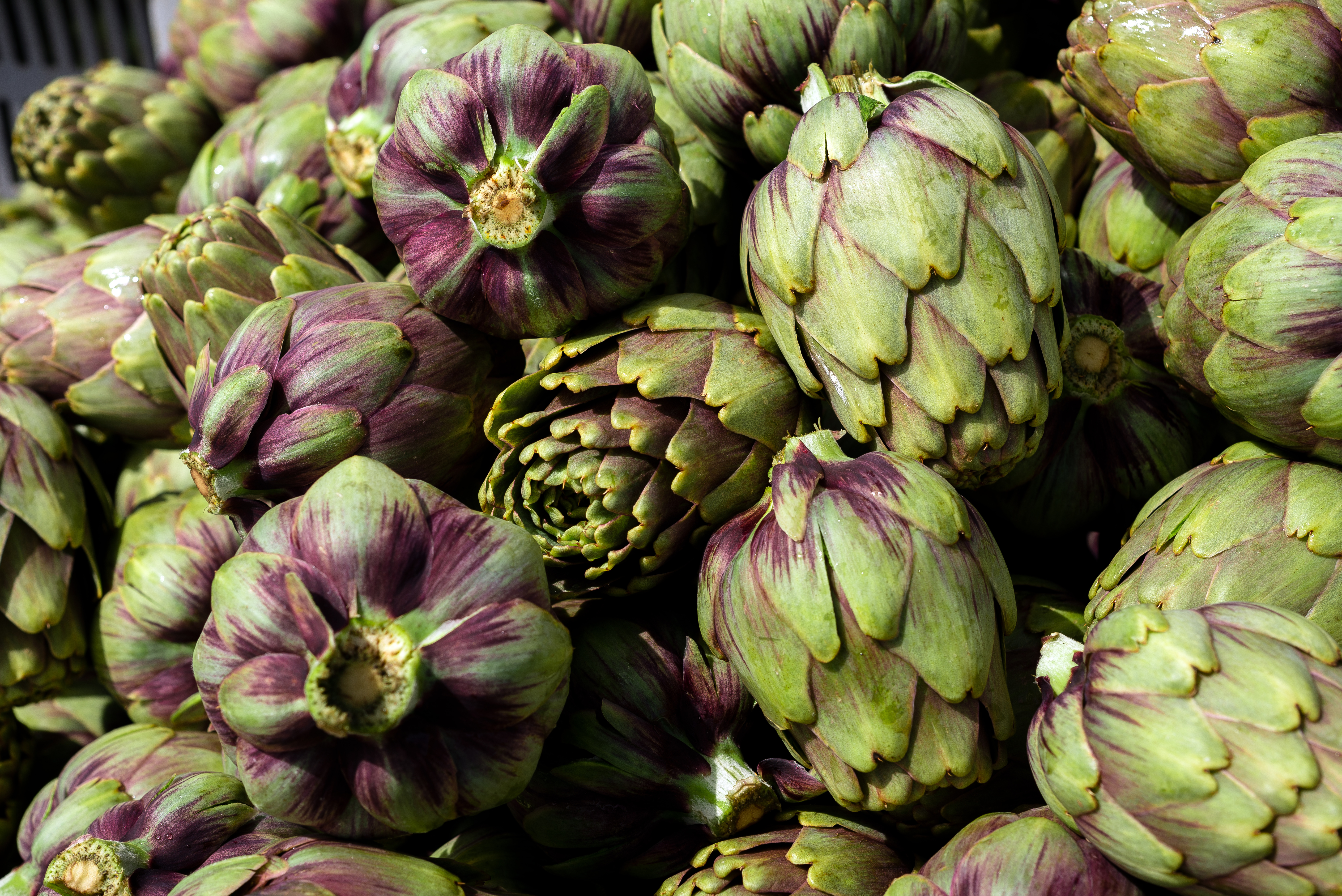 Immagine di teste di carciofi verdi, simbolo di richiamo per presenza di frammenti di vetro nel prodotto.