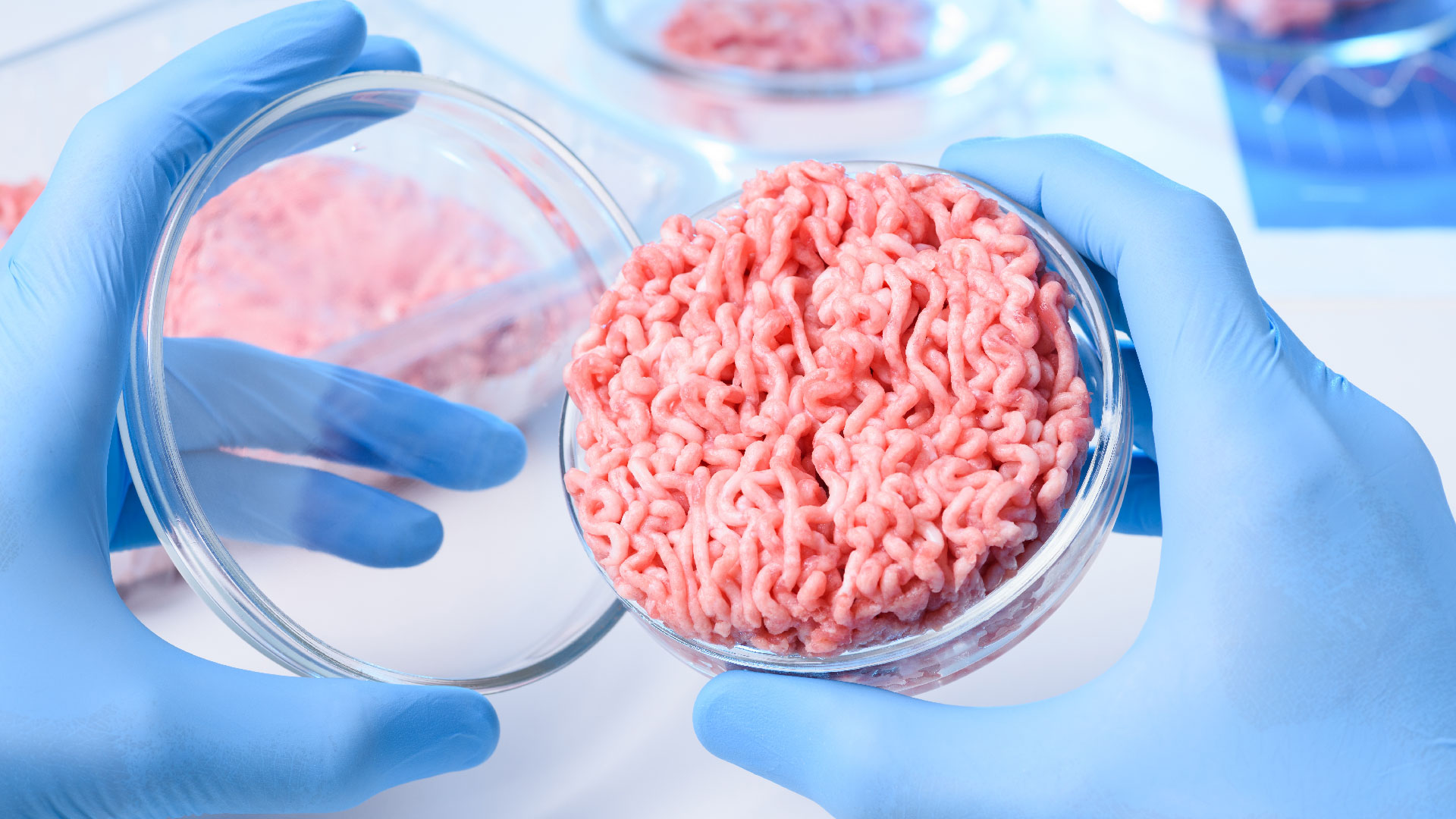 Analisi di laboratorio su campione di carne macinata per test microbiologici, chimici, nutrizionali e allergeni secondo il protocollo HACCP. L'operatore esegue analisi sensoriali e challenge test per garantire la sicurezza alimentare e determinare i valori nutrizionali degli alimenti, simbolo del servizio carne e derivati della business unit food di Lifeanalytics