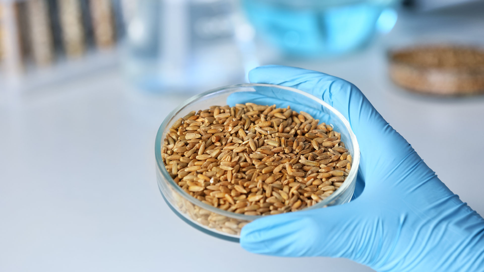 in mano a un operatore è presente una provetta piena di cereali e derivati pronta per le analisi di laboratorio, simbolo del servizio food Cereali e derivati di Lifeanalytics