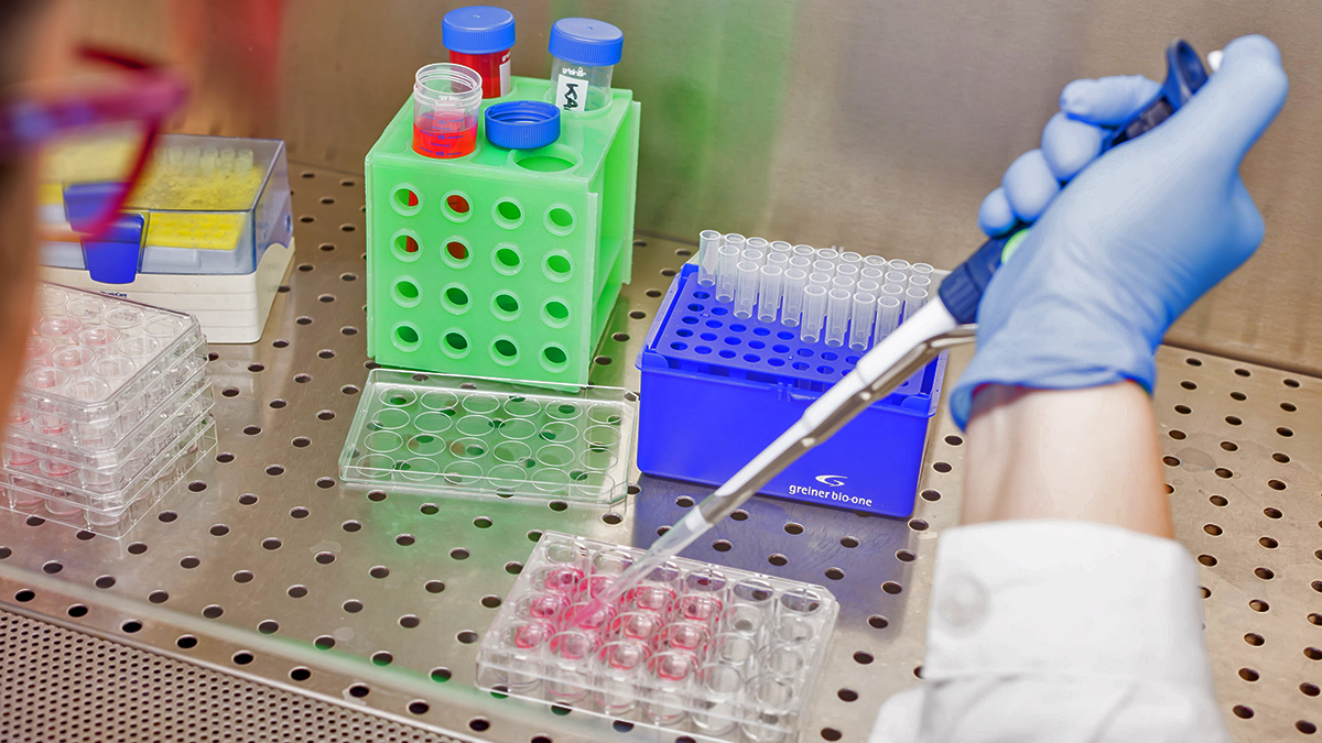A lab technician wearing blue gloves uses a micropipette on a multiwell plate, surrounded by test tubes and colorful containers inside a sterile hood, representing the Haircare service of the cosmetic and medical device business unit of Lifeanalytics.