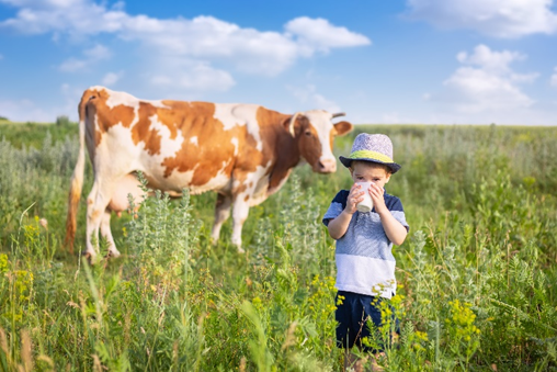 Immagine di un bambino che beve latte fresco in un prato di campagna con mucca al pascolo sotto cielo azzurro, simbolo dell'articolo del blog della business unit Food di Lifeanalytics dedicato alla listeria nei formaggi e delle recenti allerte che stanno aumentando l'attenzione sulla sicurezza alimentare