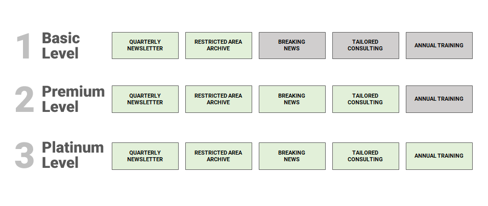 Image illustrating the accessibility levels of the PaperNewsPaper service, activated according to the contract signed