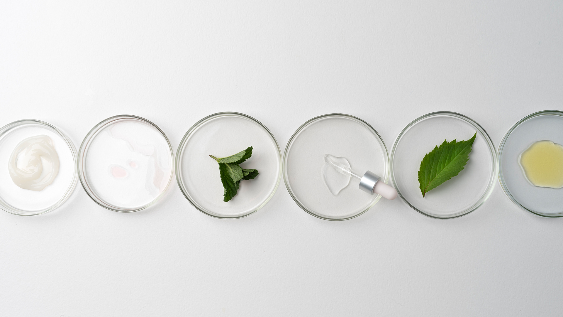 Ingredienti e sostanze skincare esposti in piattini di vetro su sfondo bianco, tra cui crema, erbe, foglie verdi, siero e oli, simbolo del servizio Raw material della business unit cosmetic and medical device di Lifeanalytics