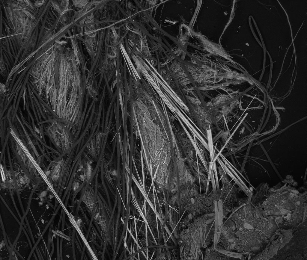 Un'immagine in bianco e nero di fibre di vetro disordinate, mostrando dettagli delle strutture filamentose e frammentate