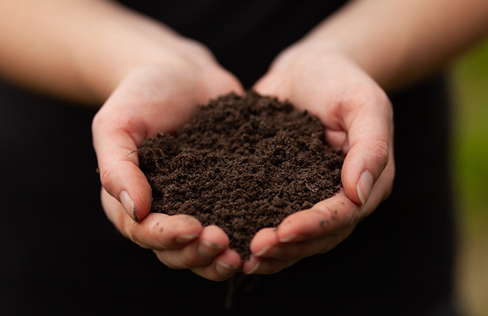 Mani che tengono terra scura e fertile, simbolo dell'articolo del blog che tratta la tematica del rapporto C/N nei terreni come un indicatore chiave per la fertilità e la sostenibilità agricola, relativo alla business unit food di Lifeanalytics