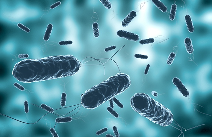 Illustrazione microscopica di batteri a forma di bastoncino, dispersi in un ambiente blu, che suggerisce la presenza di microrganismi e contaminazione invisibile, simbolo dell'articolo della business unit food che affronta la tematica della Cereulide negli alimenti: cos’è, rischi e cosa sta succedendo 