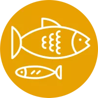 Ittico pesce cibo alimento